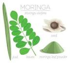 moriga leaves